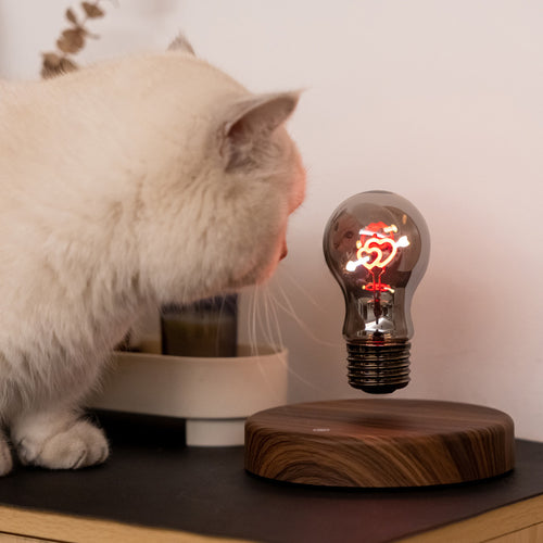 Levibulb